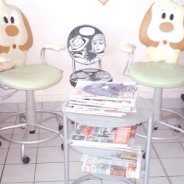 Achat/Vente Toilettage/Vente chiots à Miami